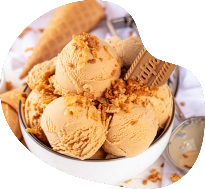 Bestes Lotus Biscoff Ninja Creami Eis Rzept von expert TeVi